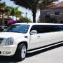 Seattle 20 Passenger Limo