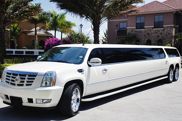 Seattle 20 Passenger Limo